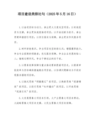 项目建设类排比句（2025年5月16日）.docx