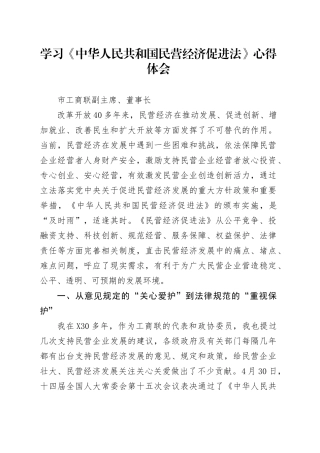 学习《中华人民共和国民营经济促进法》心得体会.docx