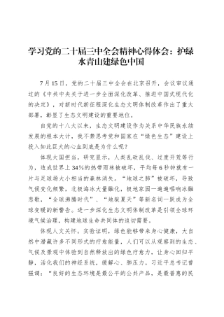 学习党的二十届三中全会精神心得体会：护绿水青山建绿色中国.docx