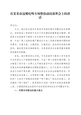 在某某市违规吃喝专项整治动员部署会上的讲话.docx