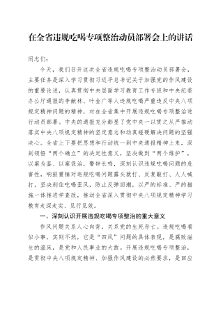 在全省违规吃喝专项整治动员部署会上的讲话.docx