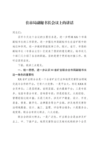 在市局副秘书长会议上的讲话.docx