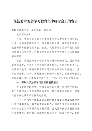 在县委常委会学习教育集中研讨会上的发言.docx