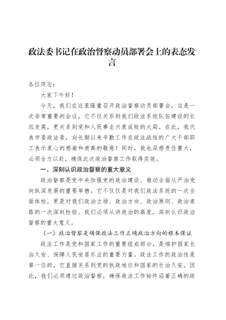政法委书记在政治督察动员部署会上的表态发言.docx