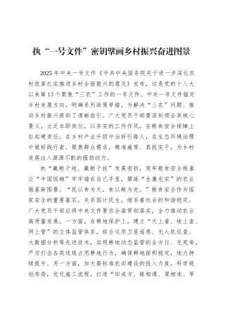 执“一号文件”密钥擘画乡村振兴奋进图景.docx