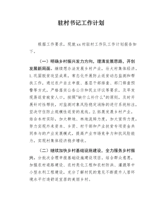 驻村书记工作计划.docx