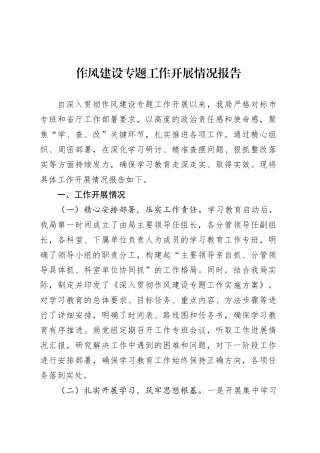作风建设专题工作开展情况报告.docx