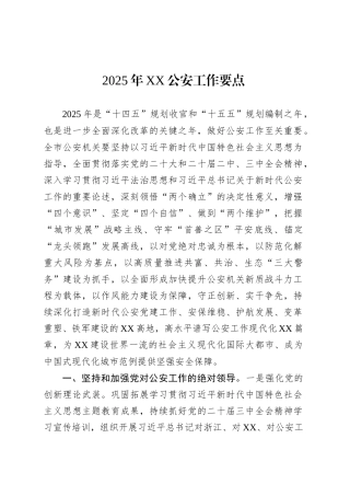 2025年XX公安工作要点.docx