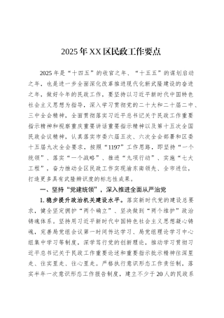 2025年XX区民政工作要点.docx