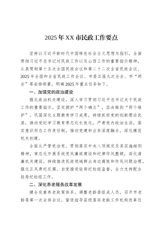 2025年XX市民政工作要点.docx