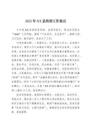 2025年XX县供销工作要点.docx