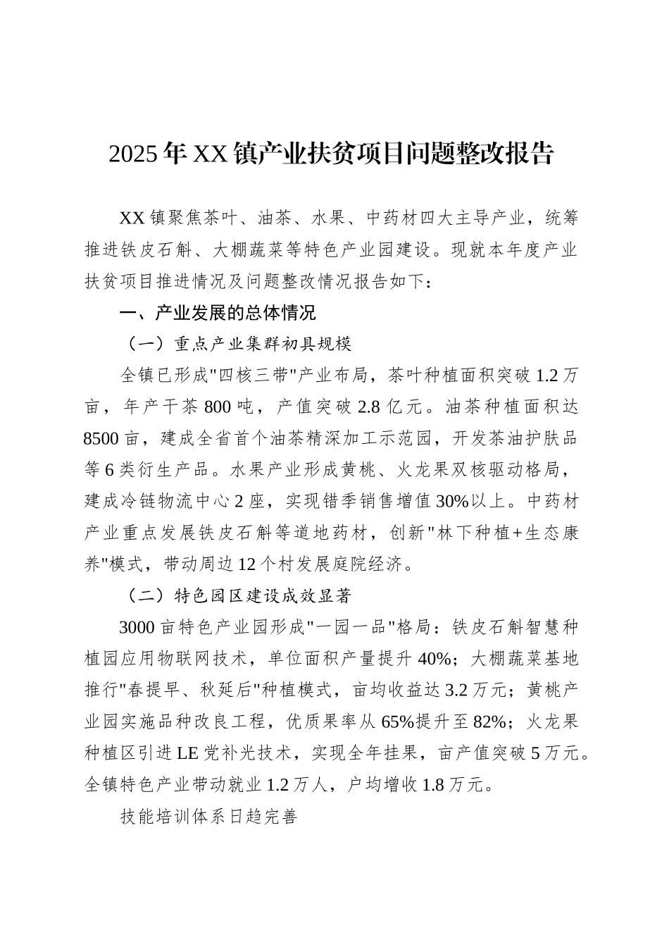 2025年XX镇产业扶贫项目问题整改报告.docx_第1页