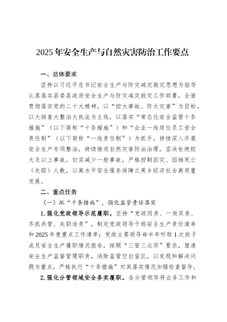 2025年安全生产与自然灾害防治工作要点.docx