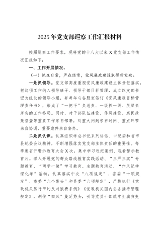 2025年党支部巡察工作汇报材料.docx