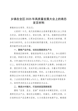 2025年高质量发展大会上的表态发言材料20250319.docx