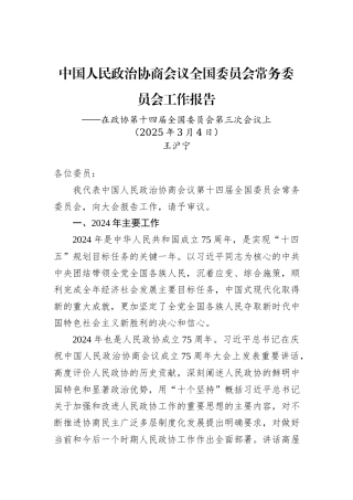 2025年两会报告.docx