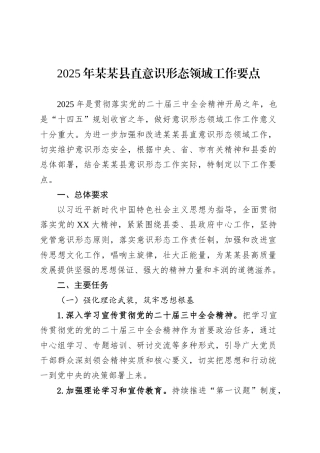 2025年某某县直意识形态领域工作要点.docx