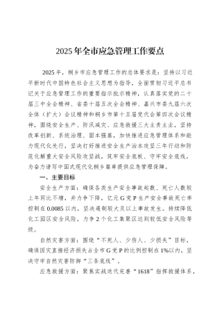 2025年全市应急管理工作要点.docx