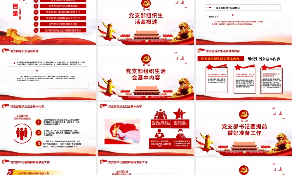 PPT课件：基层党组织党委党支部组织生活会.pptx