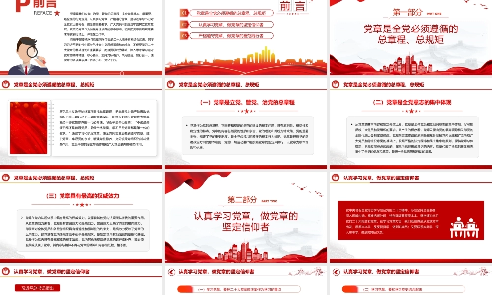 党章专题PPT党员及入党积极分子认真学习党章严格遵守党章党课.pptx