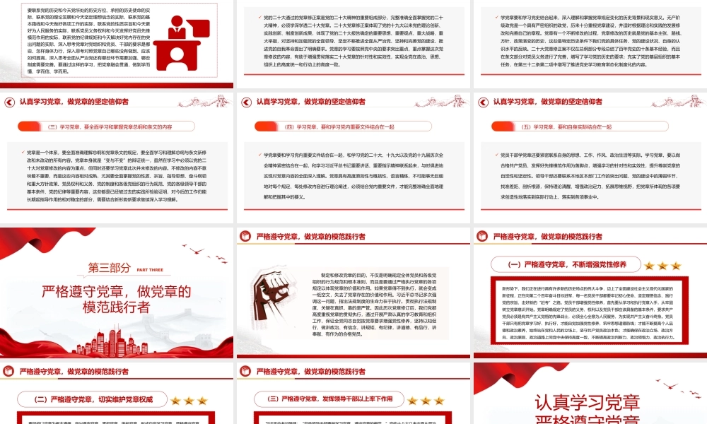 党章专题PPT党员及入党积极分子认真学习党章严格遵守党章党课.pptx