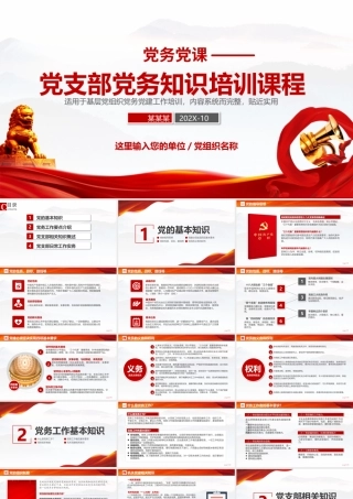 党支部党务工作党建知识培训党课PPT.pptx