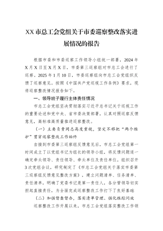 XX市总工会党组关于市委巡察整改落实进展情况的报告.docx