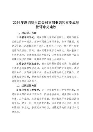 2024年度组织生活会对支部书记和支委成员批评意见建议20250312.docx