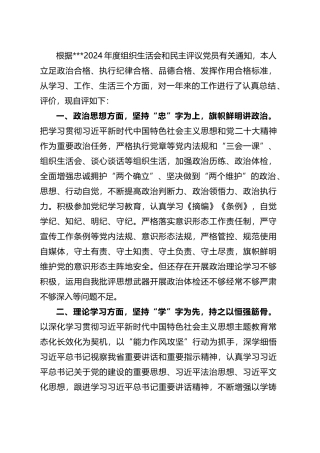 2024年度组织生活会和民主评议党员大会党员个人自查自评发言材料.doc