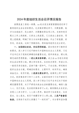 2024年度组织生活会召开情况报告工作汇报总结20250319.docx
