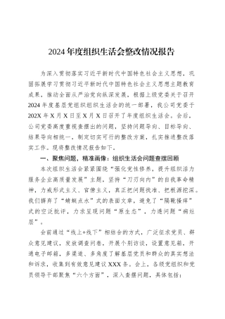 2024年度组织生活会整改情况报告.docx