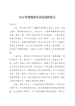 2024年度组织生活会总结发言.docx
