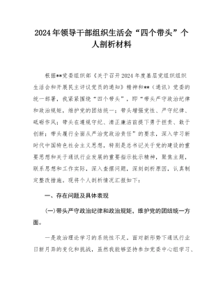 2024年领导干部组织SH会“四个带头”个人剖析材料.docx