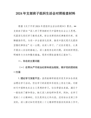 2024年支部班子组织SH会对照检查材料.docx