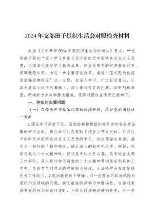 2024年支部班子组织生活会对照检查材料.docx