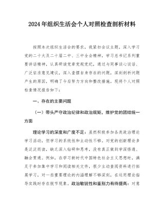 2024年组织SH会个人对照检查剖析材料.docx