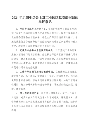 2024年组织生活会上对工业园区党支部书记的批评意见.docx