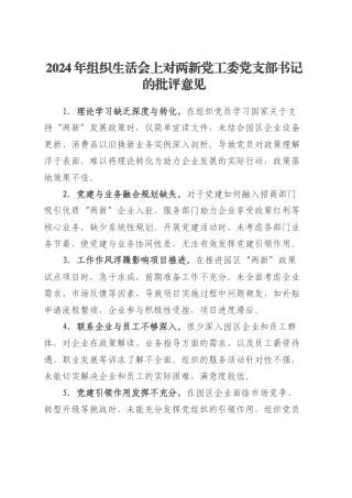 2024年组织生活会上对两新党工委党支部书记的批评意见.docx