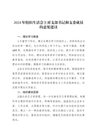 2024年组织生活会上对支部书记和支委成员的意见建议.docx