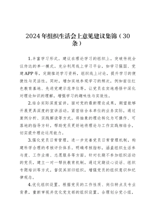 2024年组织生活会上意见建议集锦（30条）.docx