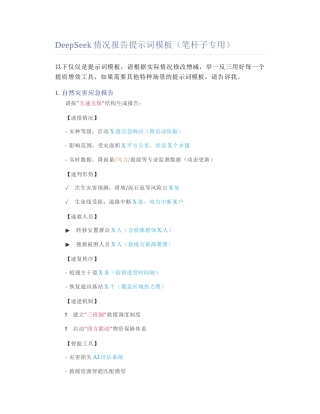 2025-02-18_DeepSeek情况报告提示词模板（笔杆子专用）.docx