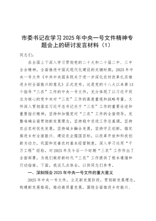 2篇市委书记在学习2025年中央一号文件精神专题会上的研讨发言材料20250319.docx