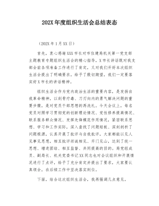 202X年度组织SH会总结表态.docx