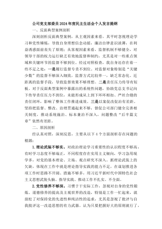 2024-2025年度民主SH会个人发言提纲.docx