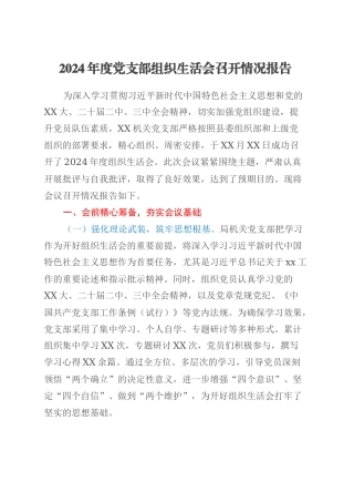 2024年度党支部组织生活会召开情况报告.docx