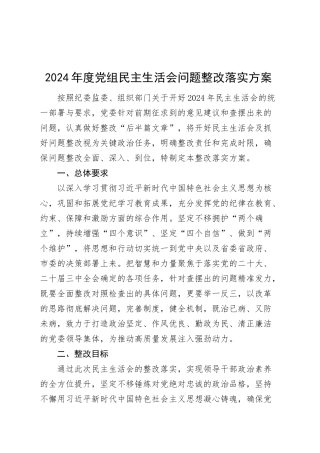 2024年度党组民主生活会问题整改落实方案20250312.docx