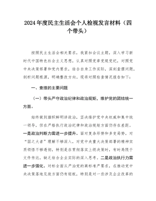 2024年度民主SH会个人检视发言材料（四个带头）.docx