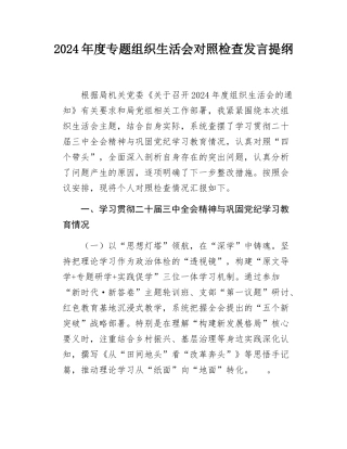 2024年度专题组织SH会对照检查发言提纲.docx