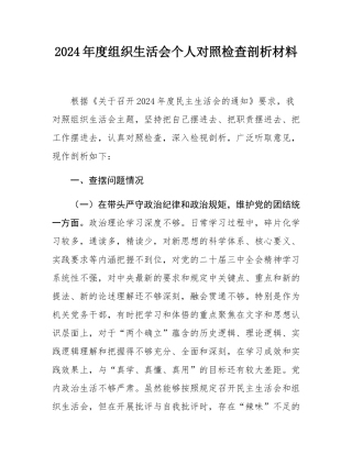 2024年度组织SH会个人对照检查剖析材料.docx
