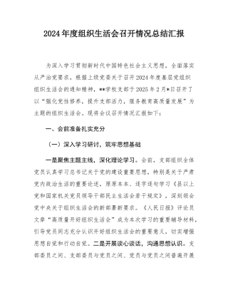 2024年度组织SH会召开情况总结汇报.docx